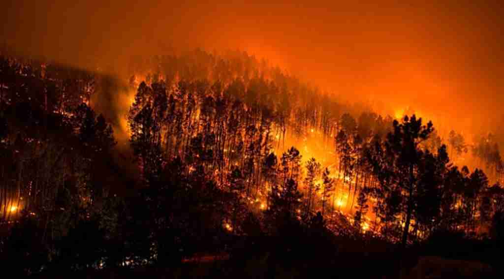 Yunanistan'daki yangın faciasında ölü sayısı 74'e yükseldi ...